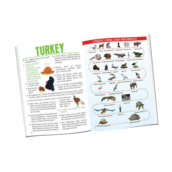 Buy children books Online Popup Kids