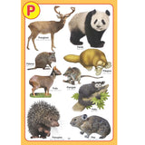 Jumbo Pictionary Pack (6 Titles)