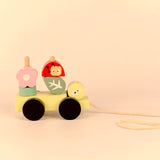 Wooden Pull Along Forest Toy Set