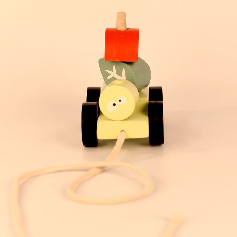 Wooden Pull Along Forest Toy Set