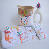 Hearts & Colours Basket- Everyday Essentials Nappy & Vest (Set of 20)