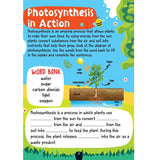The Little Scientists Activity Book for Kids Age 6+ with Fun stories and Interactive Activities