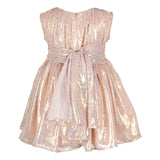 Blush Foil Printed Dress