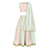 Pink and Blue Paneled Lehenga Set