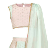 Pink and Blue Paneled Lehenga Set