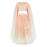 Rang Peachy Pearl Lehenga Set