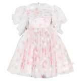 Pink Enchanted Butterfly Dress