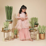 Rang Pink Elegant Lace Sharara Set