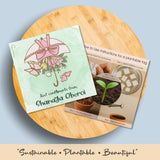 Plantable Gift Tag - Spring Bloom