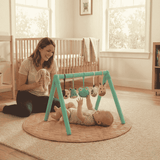 Animal Friends Play Gym