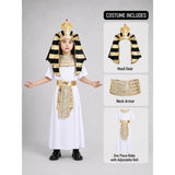 Egypt King theme Kids Halloween Costume