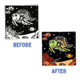 PepPlay Velvet Coloring Cards (Ocean)