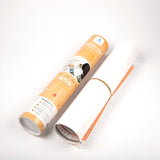 Activity Planner - Peach