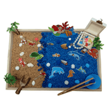 Ocean Sensory Kit