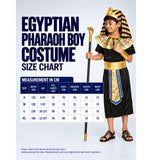 Black & Gold Egyptian Pharaoh Boy, Kids Halloween Costume Fancy Dress Up