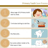 Wooden Tooth Saver Box For Lost Teeth Collection