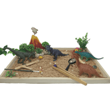 Dinosaur Discovery Sensory Kit