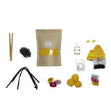 Honeybee Sensory Kit