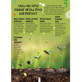 Factopedia Science Scoop: Incredible Science Facts for Kids Age 6+