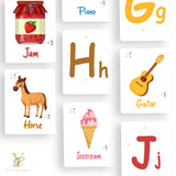 Doodle's Flash Cards Collection- Numbers & Abc