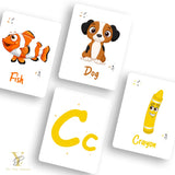 Doodle's Flash Cards Collection- Numbers & Abc