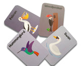 Animals world flashcards combo pack (animals, birds, insects and sea animals)