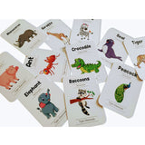Animals world flashcards combo pack (animals, birds, insects and sea animals)