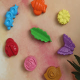Nature Set of 8