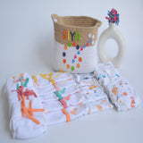 Hearts & Colours Basket- Everyday Essentials Nappy & Vest (Set of 20)