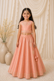 Floral Embroiderd Top & Lehenga set