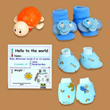 Blue Joy Newborn Hamper
