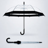 Black Big Border Transparent Umbrella for Teens & Adults