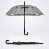 Black Beauty Jelly Transparent Umbrella for Teens & Adults