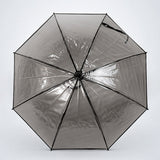 Black Beauty Jelly Transparent Umbrella for Teens & Adults