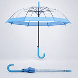 Blue Big Border Transparent Umbrella for Teens & Adults