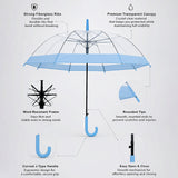 Blue Big Border Transparent Umbrella for Teens & Adults