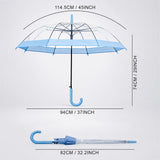 Blue Big Border Transparent Umbrella for Teens & Adults