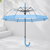 Blue Big Border Transparent Umbrella for Teens & Adults
