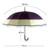 Chocolate Brown with Cream Border Large Canopy Size Umbrella for Adults