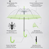 Green Big Border Transparent Umbrella for Teens & Adults