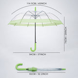 Green Big Border Transparent Umbrella for Teens & Adults