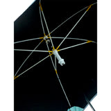 Dino Car Drive Canopy Umbrella for Kids
