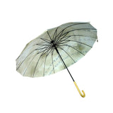 Olive Scripture print Big Size Umbrella for Adults