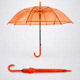 Orange Jelly Transparent Umbrella for Teens & Adults