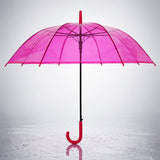 Hot Pink Jelly Transparent Umbrella for Teens & Adults