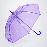 Rich Purple Jelly Transparent Umbrella for Teens & Adults