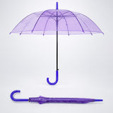 Rich Purple Jelly Transparent Umbrella for Teens & Adults