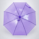Rich Purple Jelly Transparent Umbrella for Teens & Adults