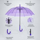 Rich Purple Jelly Transparent Umbrella for Teens & Adults