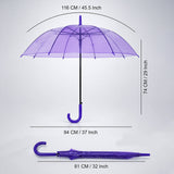 Rich Purple Jelly Transparent Umbrella for Teens & Adults